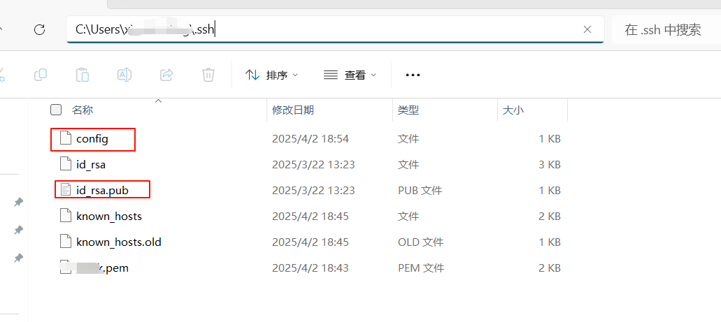 image-20250402205925237