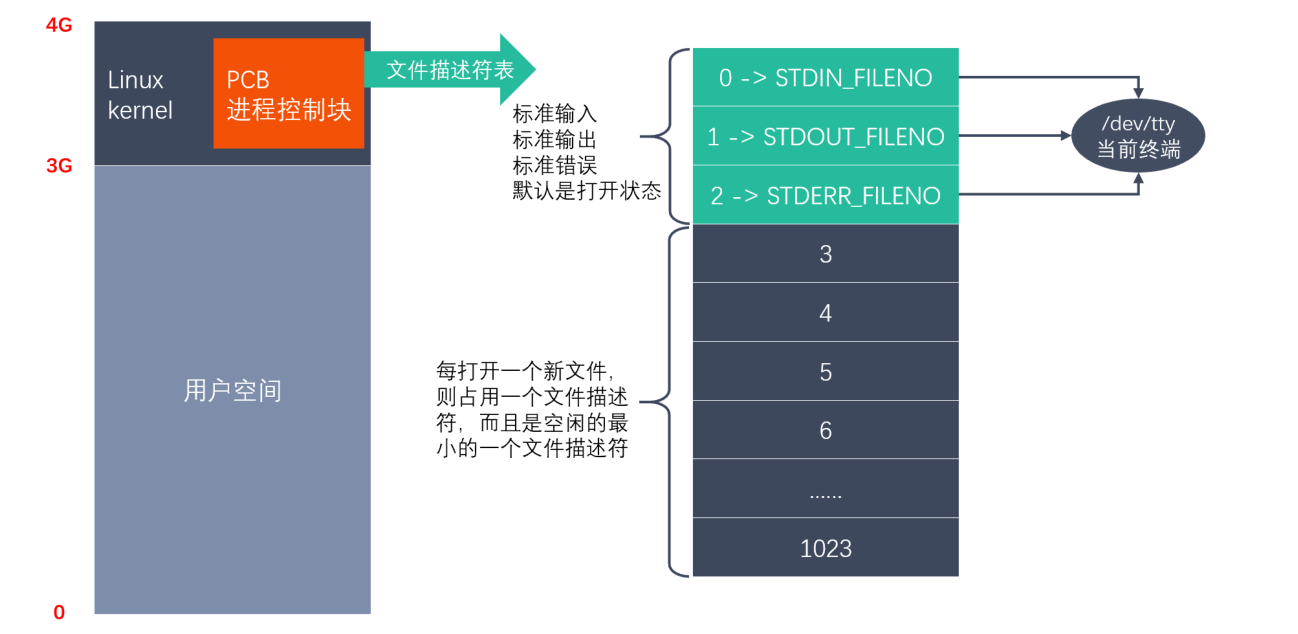 image-20250403103046761