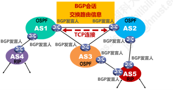 image-20250315152133472