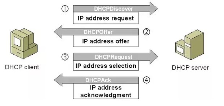 image-20250316155313940